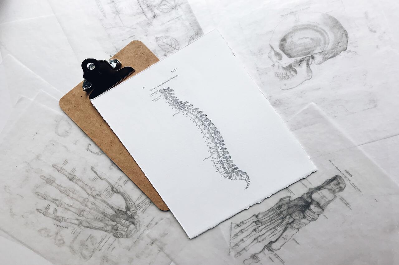 Come si relazionano le parti del corpo, attraverso la postura