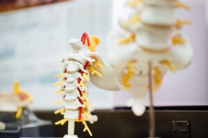 Un dolore che si sente in una zona del corpo può derivare da un problema lontano