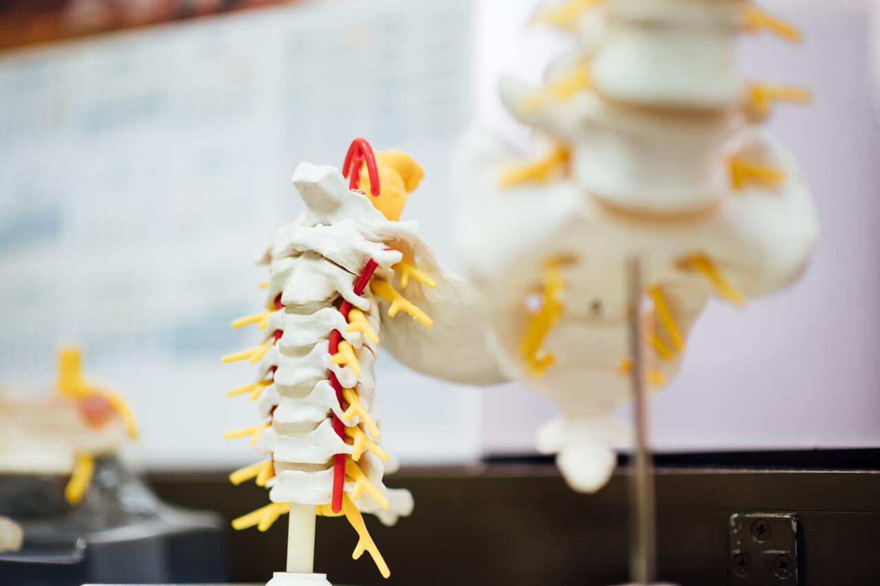 Un dolore che si sente in una zona del corpo può derivare da un problema lontano
